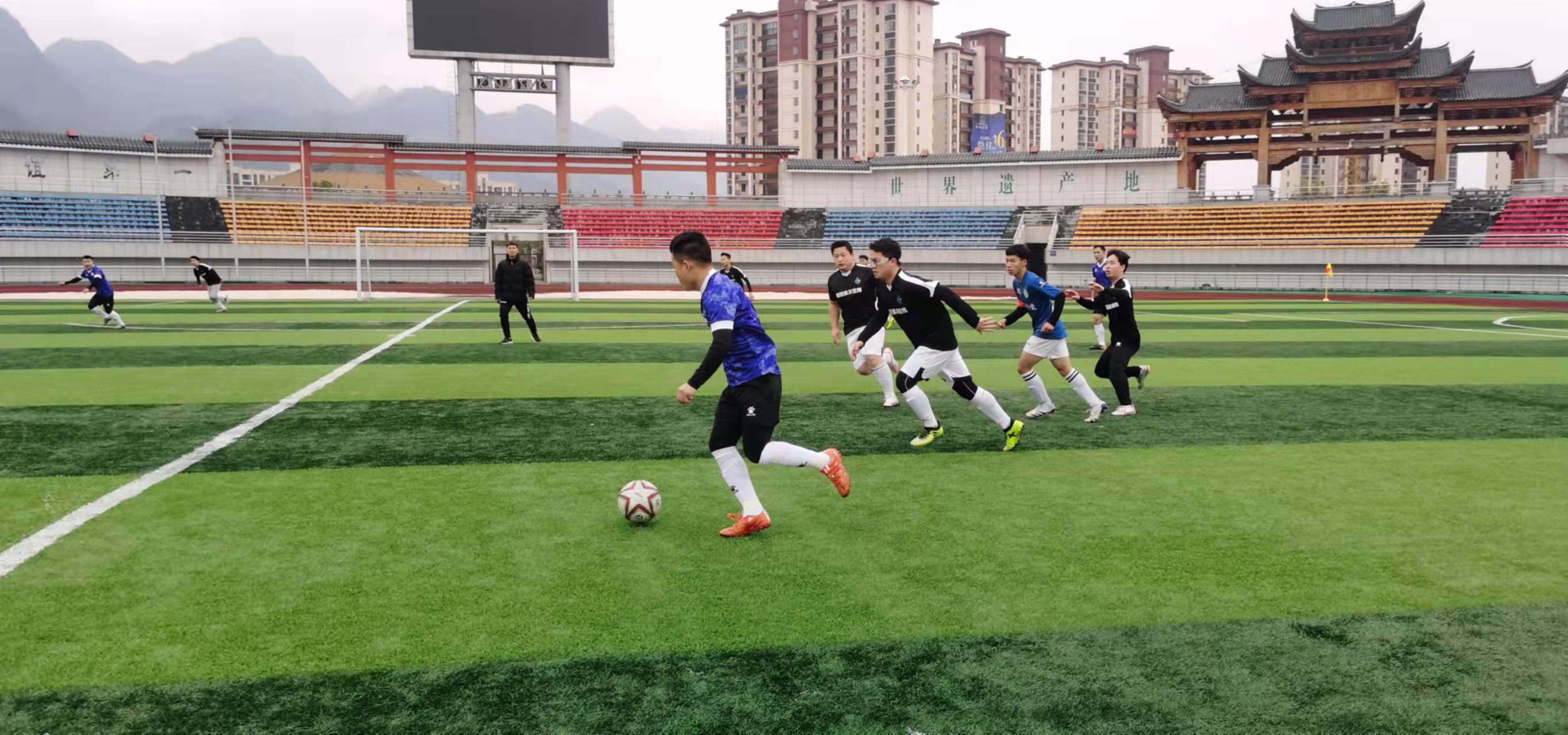 胆压迫形成 胆压迫形成